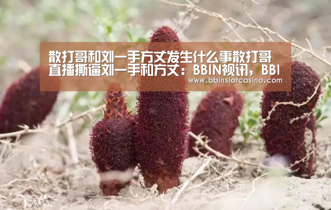 BBIN视讯，BBIN体育，BBIN国际厅，BBIN娱乐城